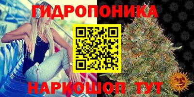 спиды Донецк