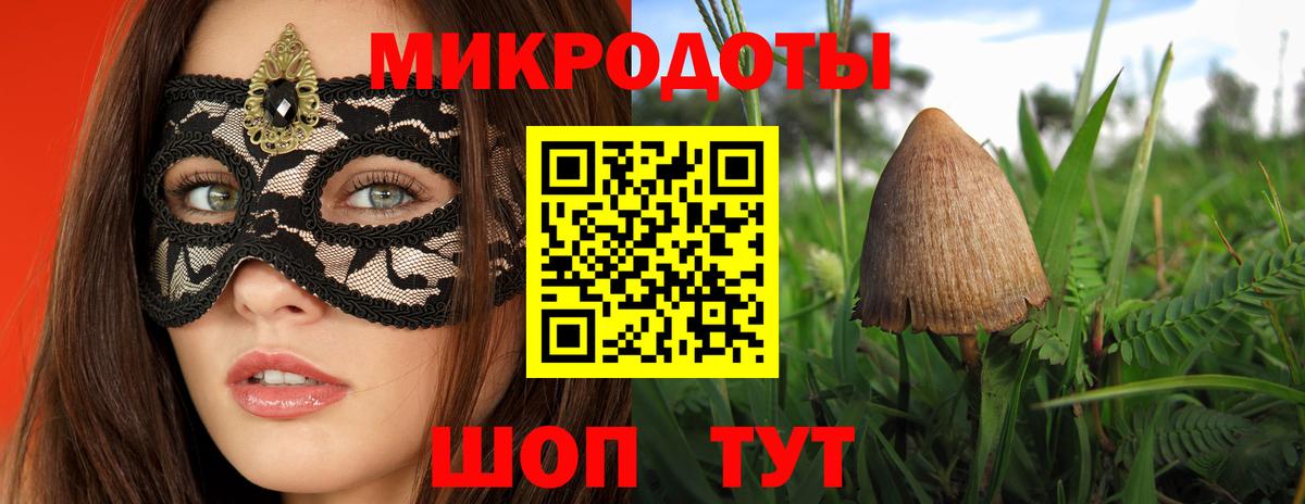 Псилоцибиновые грибы Cubensis Грозный
